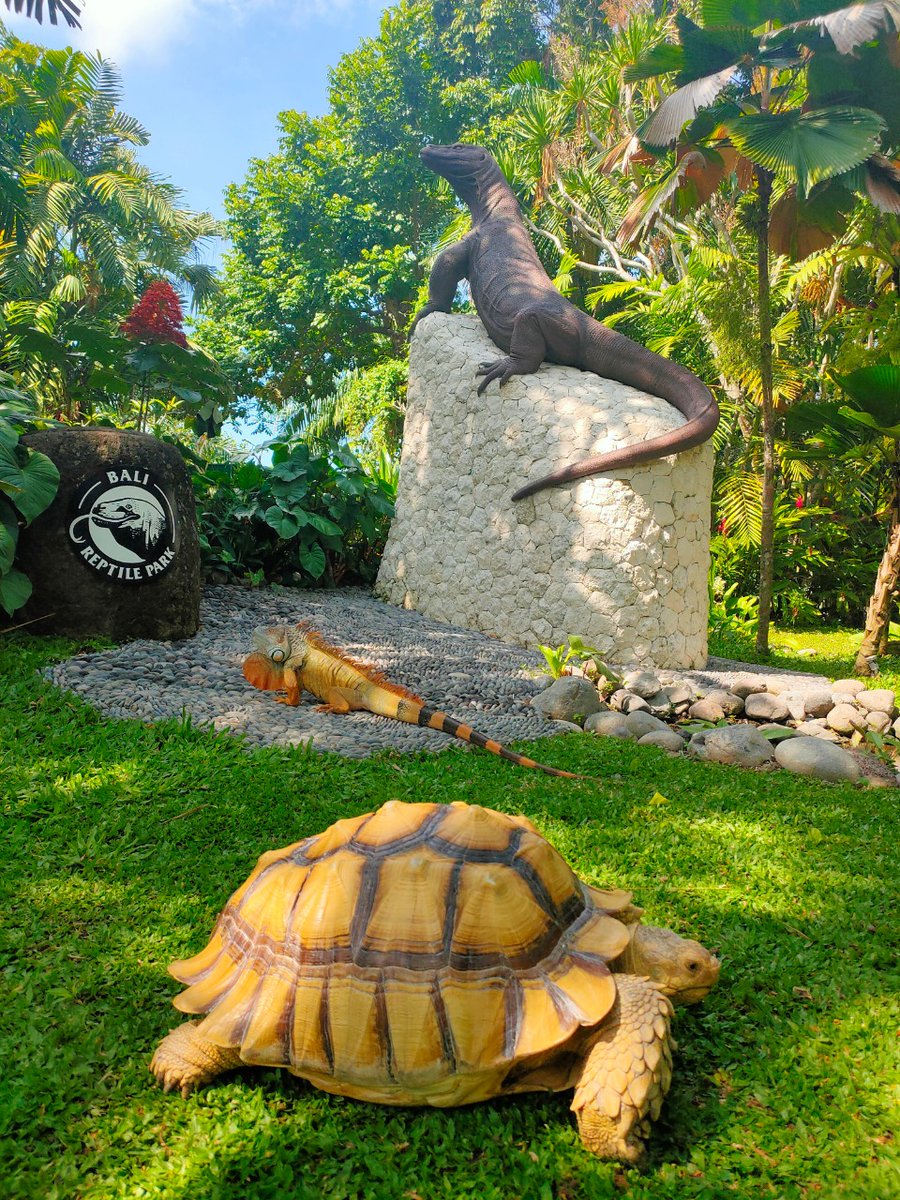 Bali Reptile Park