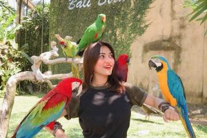Bali Bird Park: Complete Visitor Guide to Bali’s Famous Bird Sanctuary