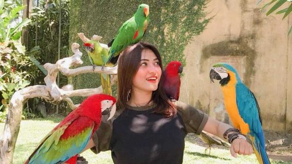 Bali Bird Park: Complete Visitor Guide to Bali’s Famous Bird Sanctuary