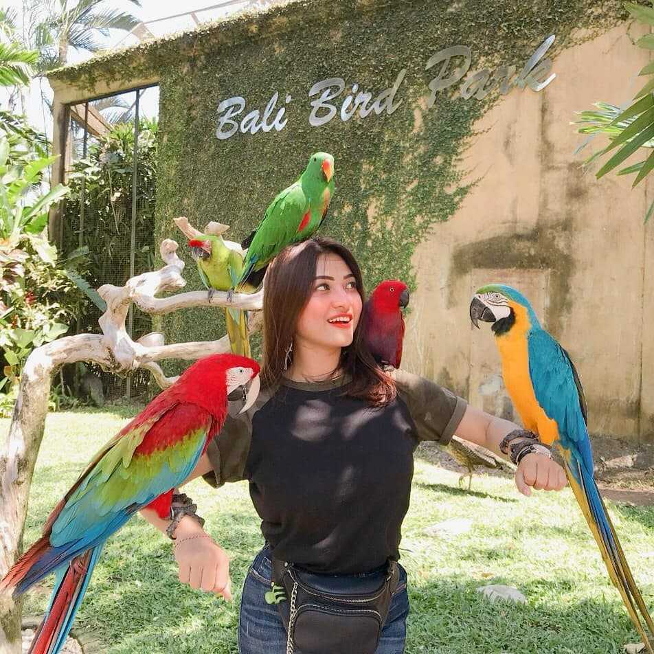 bali bird park