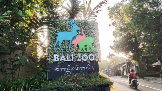Bali Zoo Park: Complete Guide to Bali’s Favorite Wildlife Experience