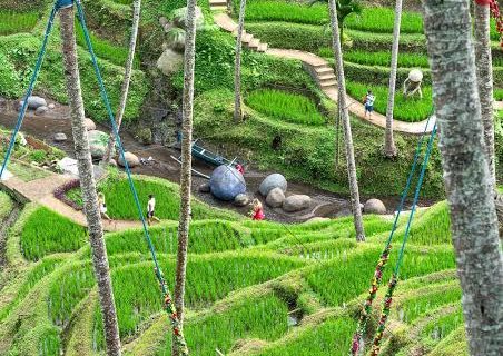 Alas Harum Bali: Complete Guide to Ubud’s Most Instagrammable Attraction